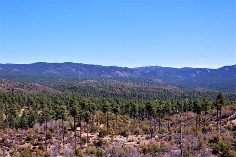 Prescott National Forest, Arizona, United States Stock Photo - Image of landmarks, scenic: 115137802