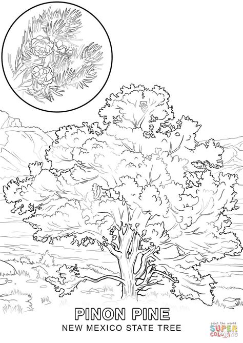 New Mexico Tree Coloring Page - Coloring Home