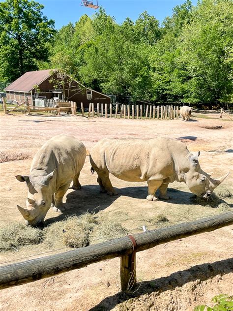 Day Trip To The Richmond Metro Zoo - Kath Eats Real Food