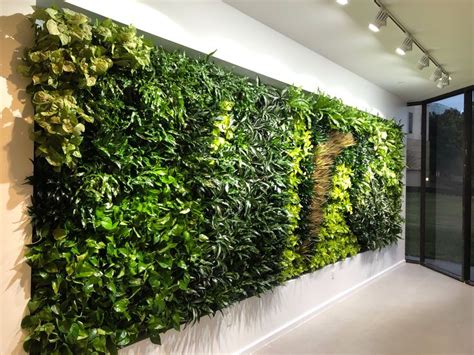 Thriving Plant Wall with Added Lights