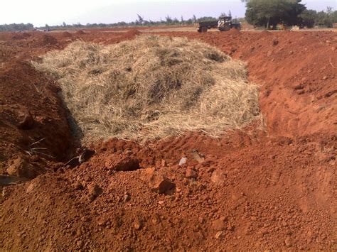 Techie2Aggie: Making some in-house organic Manure: Paddy Waste