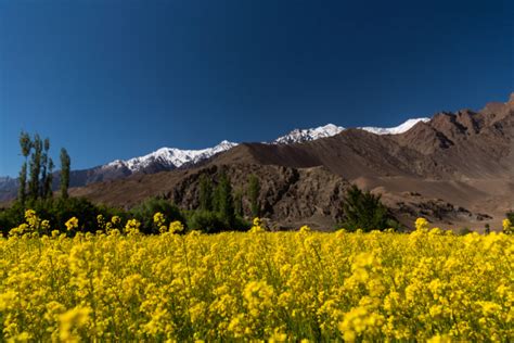 Ladakh ? A Travel Photographer?s Delight #TWC