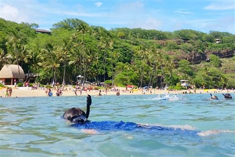 Best Oahu beach snorkeling for beginners for first time in Honolulu 🌴 Oahu snorkeling on your ...