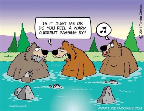 Oh dear... | Funny cartoons, Best funny jokes, Bear jokes