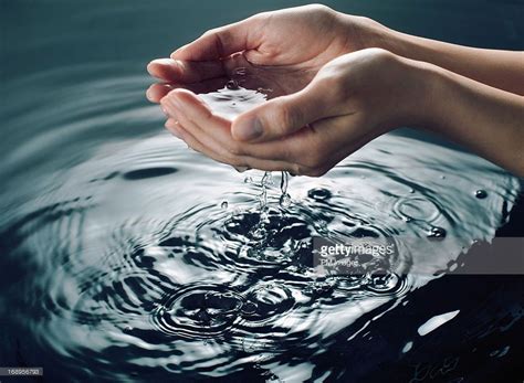 Young woman's hands cupping water, close-up | Hand reference, How to ...