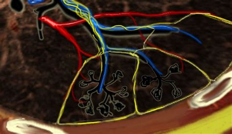 The Radiology Assistant : HRCT - Basic Interpretation