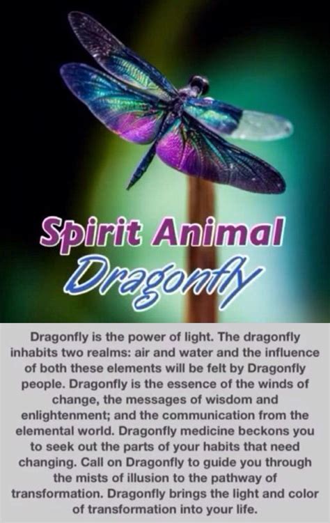 Dragonfly | Dragonfly quotes, Dragonfly, Spirit animal