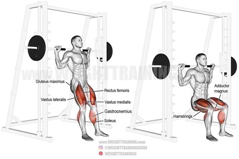 Smith chair squat exercise instructions and video | Weight Training Guide