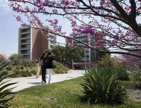 College admissions: Students now must accept, reject offers - Los ...