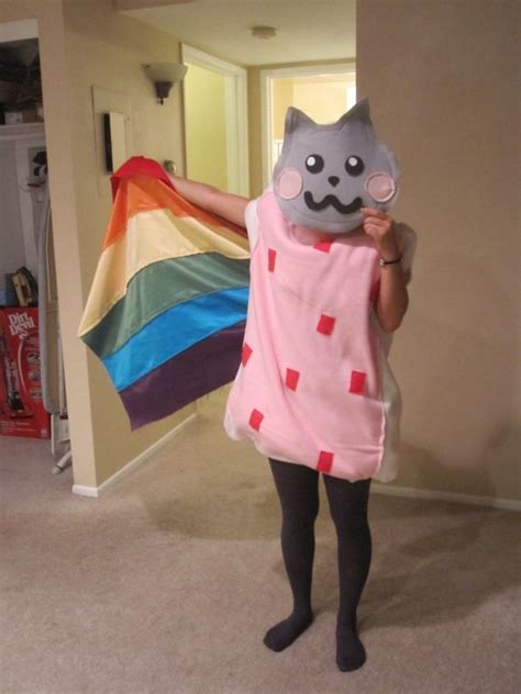 Nyan Cat | Nyan cat costume, Nyan cat, Bird costume