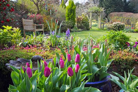 Spring Gardening Checklist | Martha Stewart