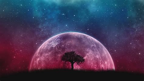 tree planet stars galaxy art | DreamPirates