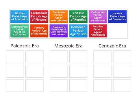 Eras within the Phanerozoic Eon - Group sort