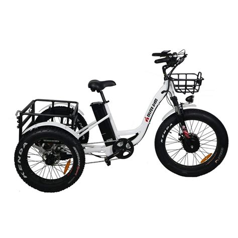 Burch Bikes Pro Electric Tricycle 24 Inch Fat Tire Electric Trike 3 Wheel 48V 500W Electric Bike ...