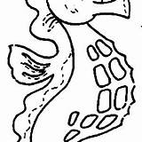 Seahorse With A Big Tummy Coloring Page  Kids Play Color sketch template