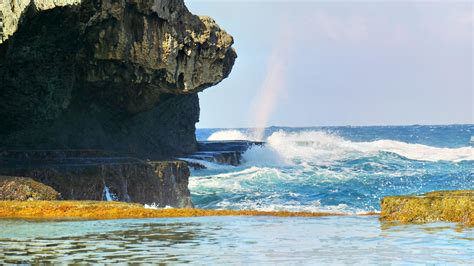 10 Best Things to do in Tinian, Northern Mariana Islands - Tinian travel guides 2021– Trip.com