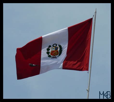 Peru - Flag - Traveling Rockhopper