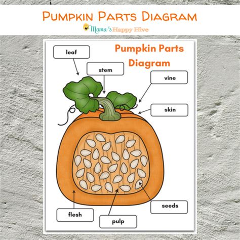 DIY Felt Pumpkin Parts and Life Cycle with Printables