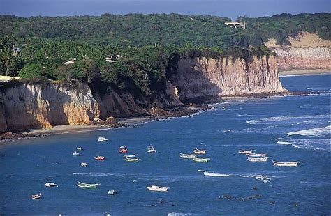 Pin on Beaches of Northeastern Brazil