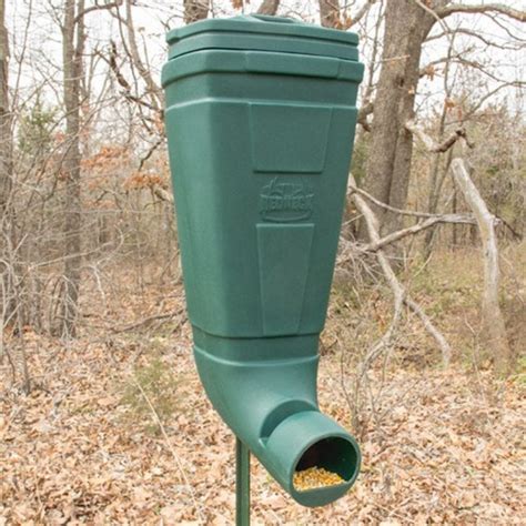 Everything You Need to Know About a Deer Feeder - The Frisky