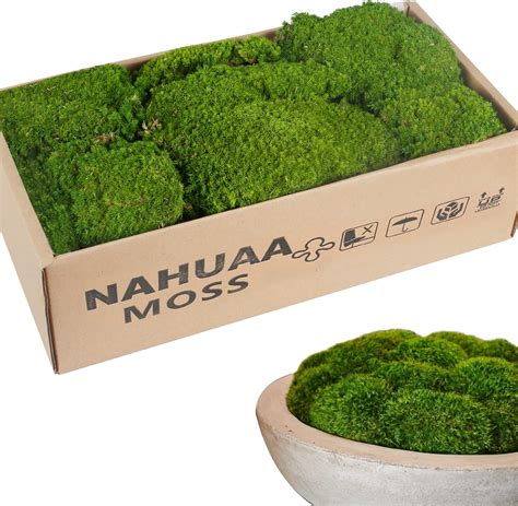 Amazon.com: NAHUAA 2.15 sq. ft Preserved Moss, Moss for Potted Plants ...