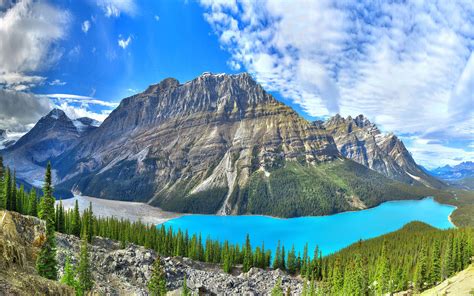 4k, Peyto Lake, summer, Banff, mountains, forest, Alberta, canadian ...