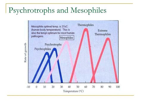 PPT - Bacterial Requirements & Growth: Reproduction, Nutrition, and Environmental Factors ...