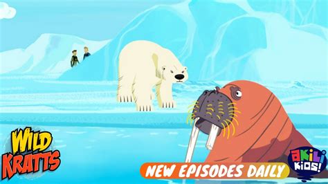 Wild Kratts | Polar Bears Don't Dance | Akili Kids! - YouTube