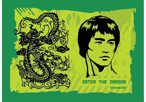 Enter the Dragon 62488 Vector Art at Vecteezy