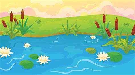 Best Pond Illustrations, Royalty-Free Vector Graphics & Clip Art - iStock