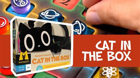 Cat in the Box - Le jeu en 2 minutes ! - YouTube