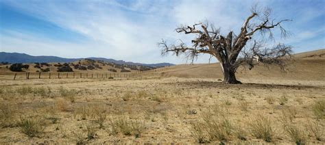 California Drought | Land.com