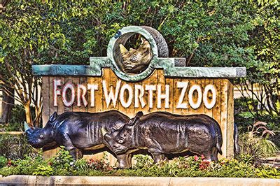 Fort Worth Zoo to reopen May 29 - Fort Worth Business Press