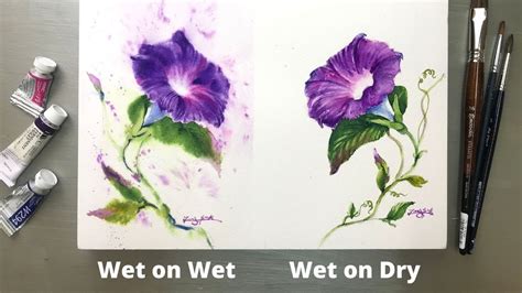 Watercolor Painting - WET ON WET vs WET ON DRY Technique- Morning Glory ...