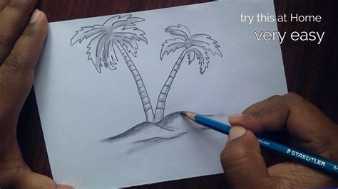 How to draw palm tree step by step for Beginners - YouTube