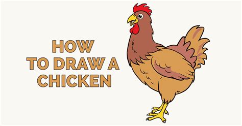 How to Draw a Cute Chicken in a Few Easy Steps | Easy Drawing Guides