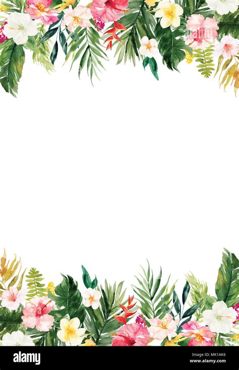 The vertical white blank paper background with colorful plants and flowers border Stock Photo ...