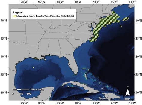 22. Essential fish habitat for juvenile Atlantic bluefin tuna (Thunnus... | Download Scientific ...