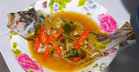 Resep Steam Ikan Kerapu oleh Raharsenaya Hutami - Cookpad