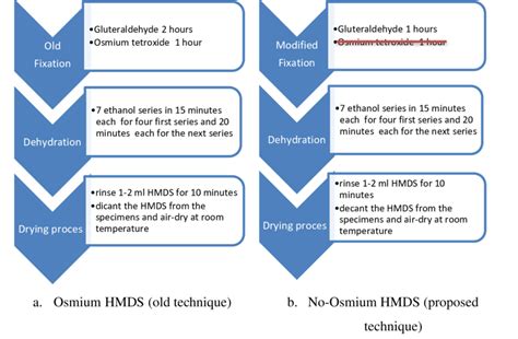 The difference of fixation process for both osmium HMDS and no osmium ...