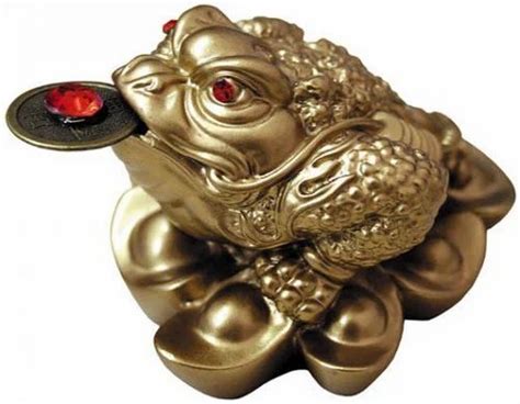 Feng Shui Money Frog at Rs 1000 | वास्तु सामान in Varanasi | ID: 8818272473