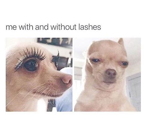 Eyelashes Quotes, Fake Eyelashes, Eyelash Meme, Eyelash Tips, Aaliyah ...