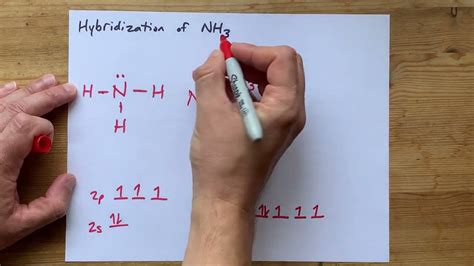 Nh3 Hybridization