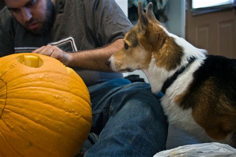 five sixteenths blog: Pumpkin Carving 2013