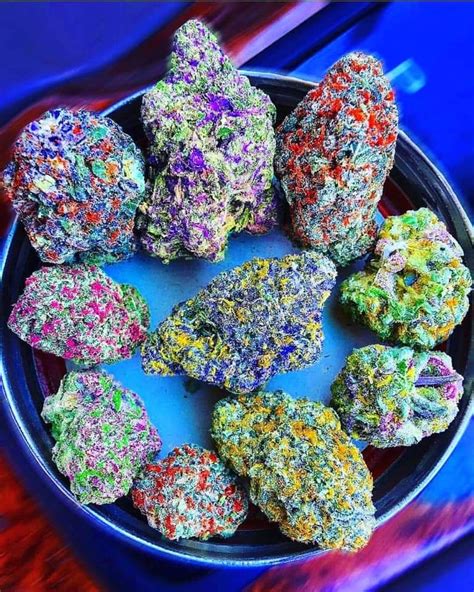 Berry Purple Kush | Recreational | Marijuana | Shop