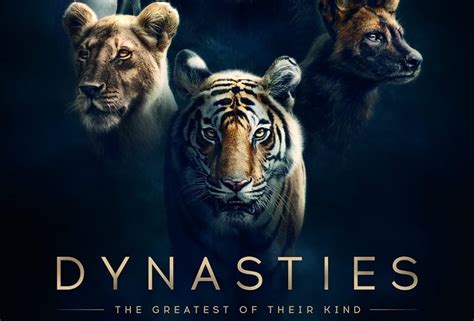 The Powerful Trailer Of BBC’s Documentary ‘Dynasties’, Starts With A Roar & Ends With Goosebumps