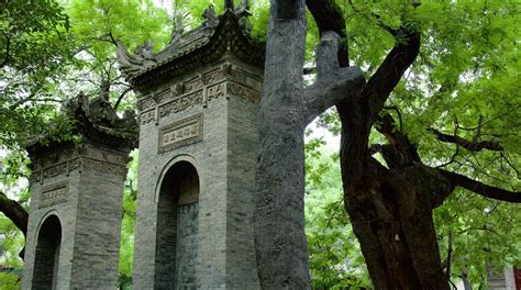 Giant Wild Goose Pagoda in Xi'an | Expedia