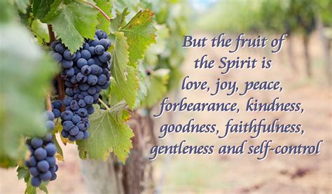 Fruit of the Spirit – Galatians 5:22-23 (Weeks 45 & 46) - Life323