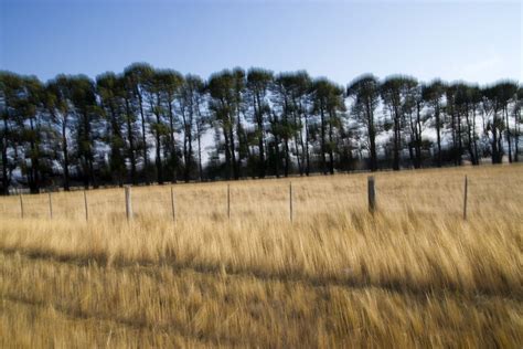 Lancefield | Image taken near Lancefield, Victoria, Australi… | Flickr