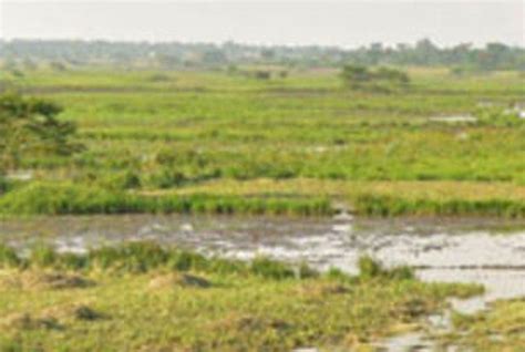 Developer defies directive to restore Masaka wetland - Uganda